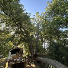 Tree-Removal-and-Sawmill-Services-project-in-Sudlersville-MD 4